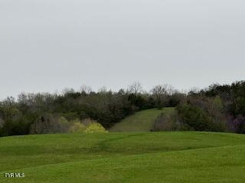Vacant Land For Sale - 000 Robert Harmon Road<br/> Greeneville, TN 37745