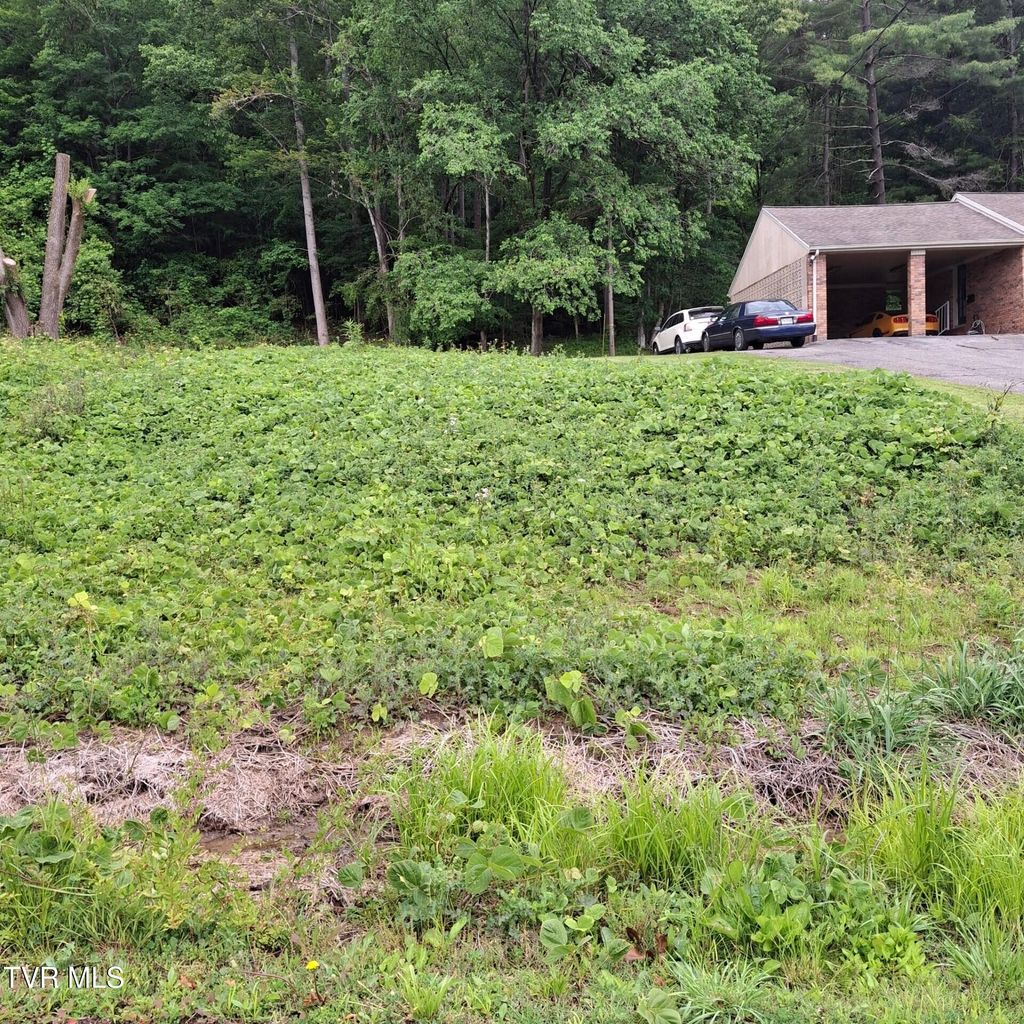 Photo of Tbd 6th Ave, Big Stone Gap, VA 24219 (MLS # 9980952)