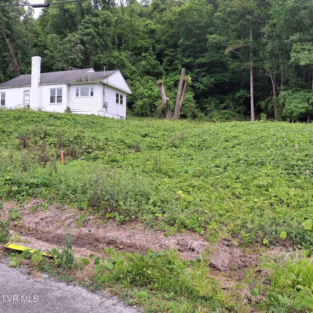 Photo of Tbd 6th Ave, Big Stone Gap, VA 24219 (MLS # 9980952)