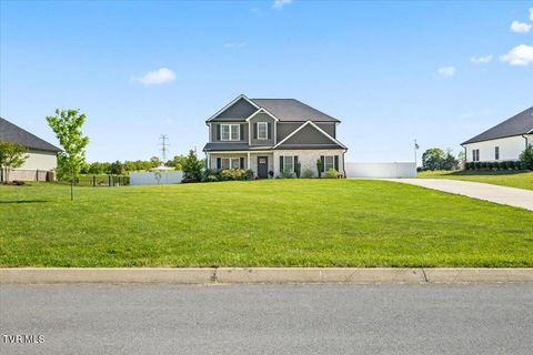 Photo of 433 Boulder Court, Johnson City, TN 37615 (MLS # 9994431)