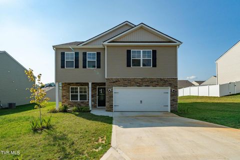 Tiny photo for 693 Barley Loop, Jonesborough, TN 37659 (MLS # 9986467)