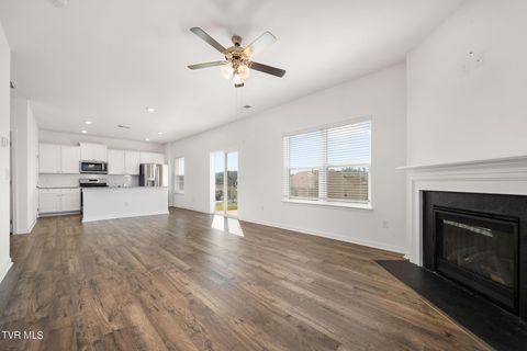 Tiny photo for 693 Barley Loop, Jonesborough, TN 37659 (MLS # 9986467)