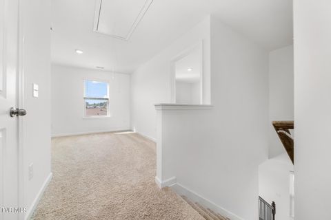 Tiny photo for 693 Barley Loop, Jonesborough, TN 37659 (MLS # 9986467)
