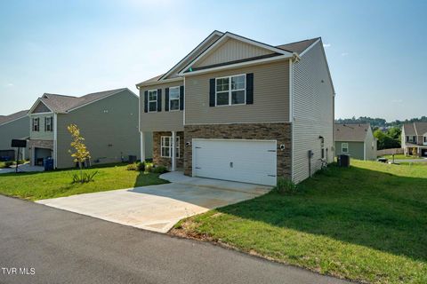 Tiny photo for 693 Barley Loop, Jonesborough, TN 37659 (MLS # 9986467)