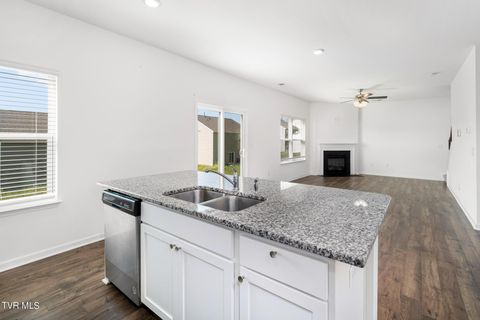 Tiny photo for 693 Barley Loop, Jonesborough, TN 37659 (MLS # 9986467)