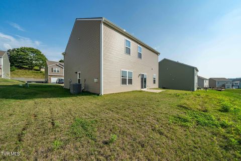 Tiny photo for 693 Barley Loop, Jonesborough, TN 37659 (MLS # 9986467)