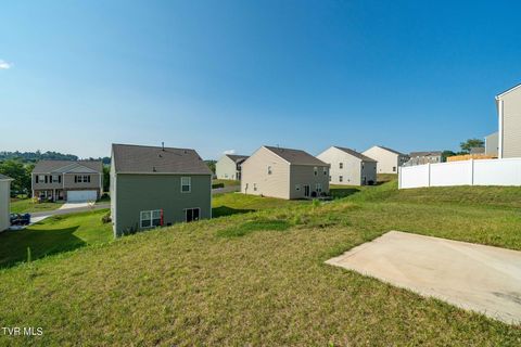 Tiny photo for 693 Barley Loop, Jonesborough, TN 37659 (MLS # 9986467)