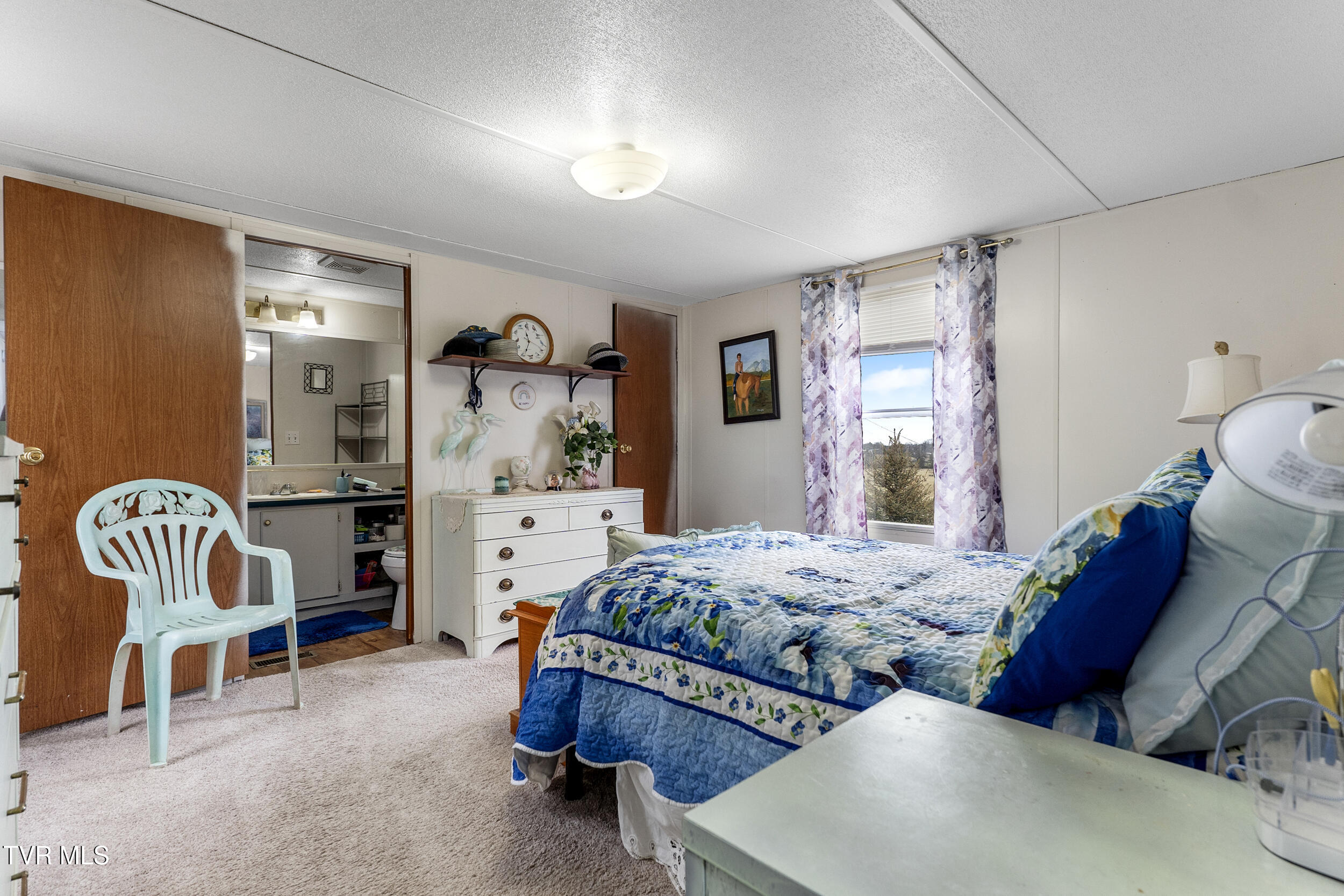 214 Telford New Victory Rd Rd, Telford, Tennessee image 10