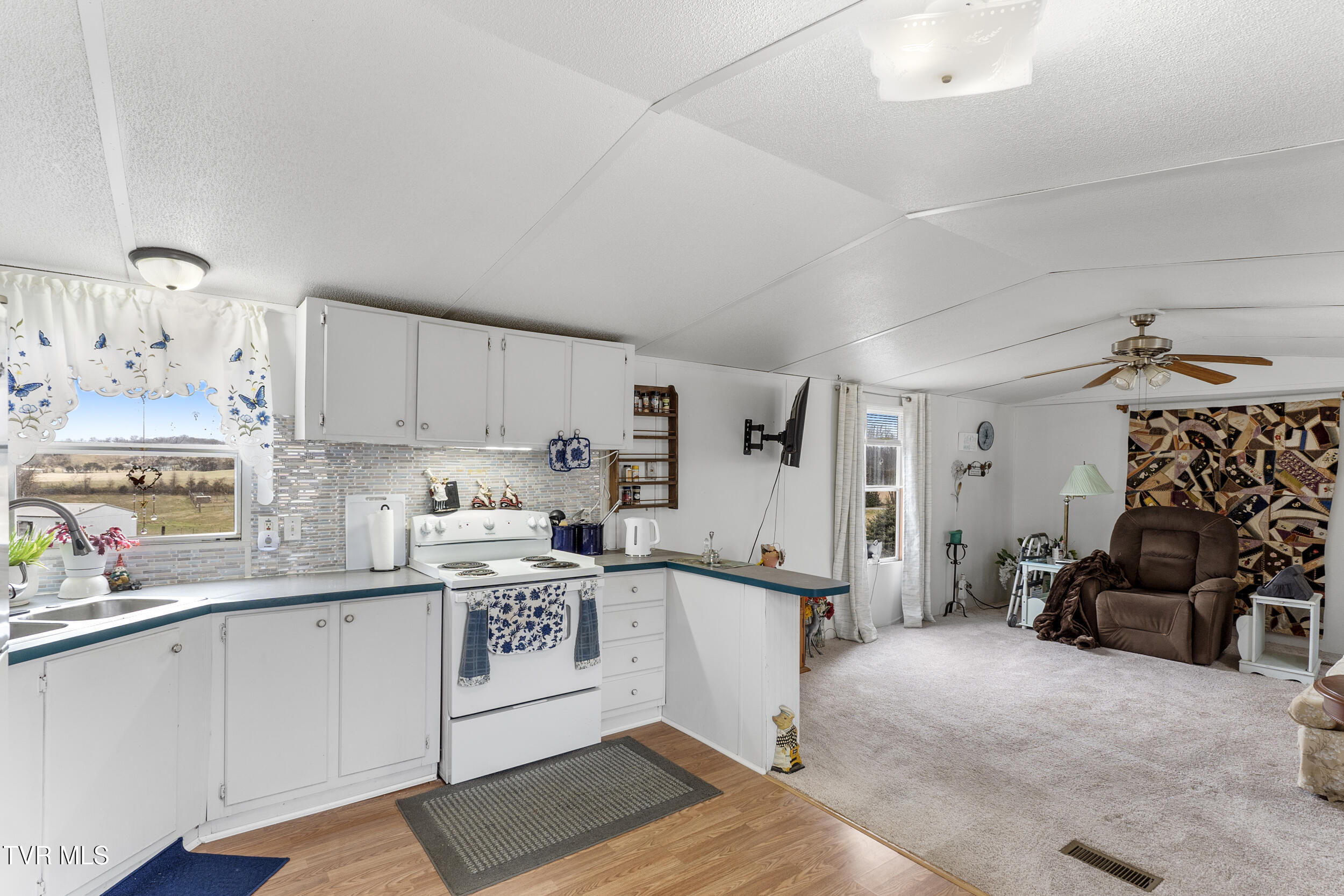 214 Telford New Victory Rd Rd, Telford, Tennessee image 6