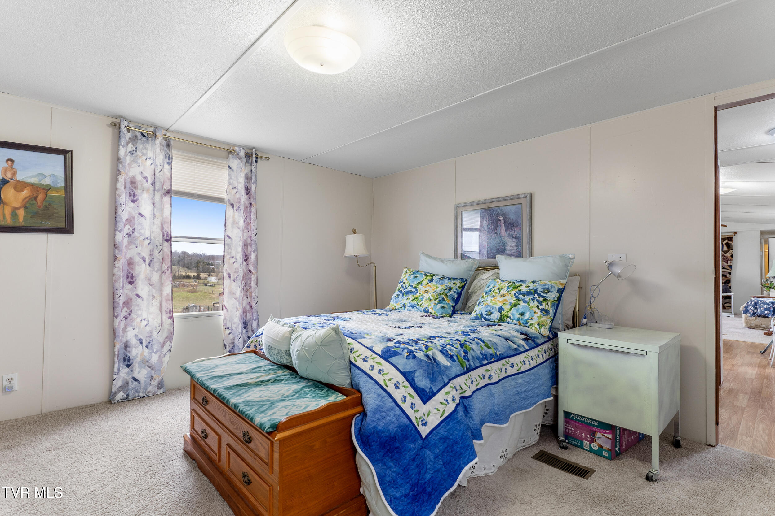 214 Telford New Victory Rd Rd, Telford, Tennessee image 11
