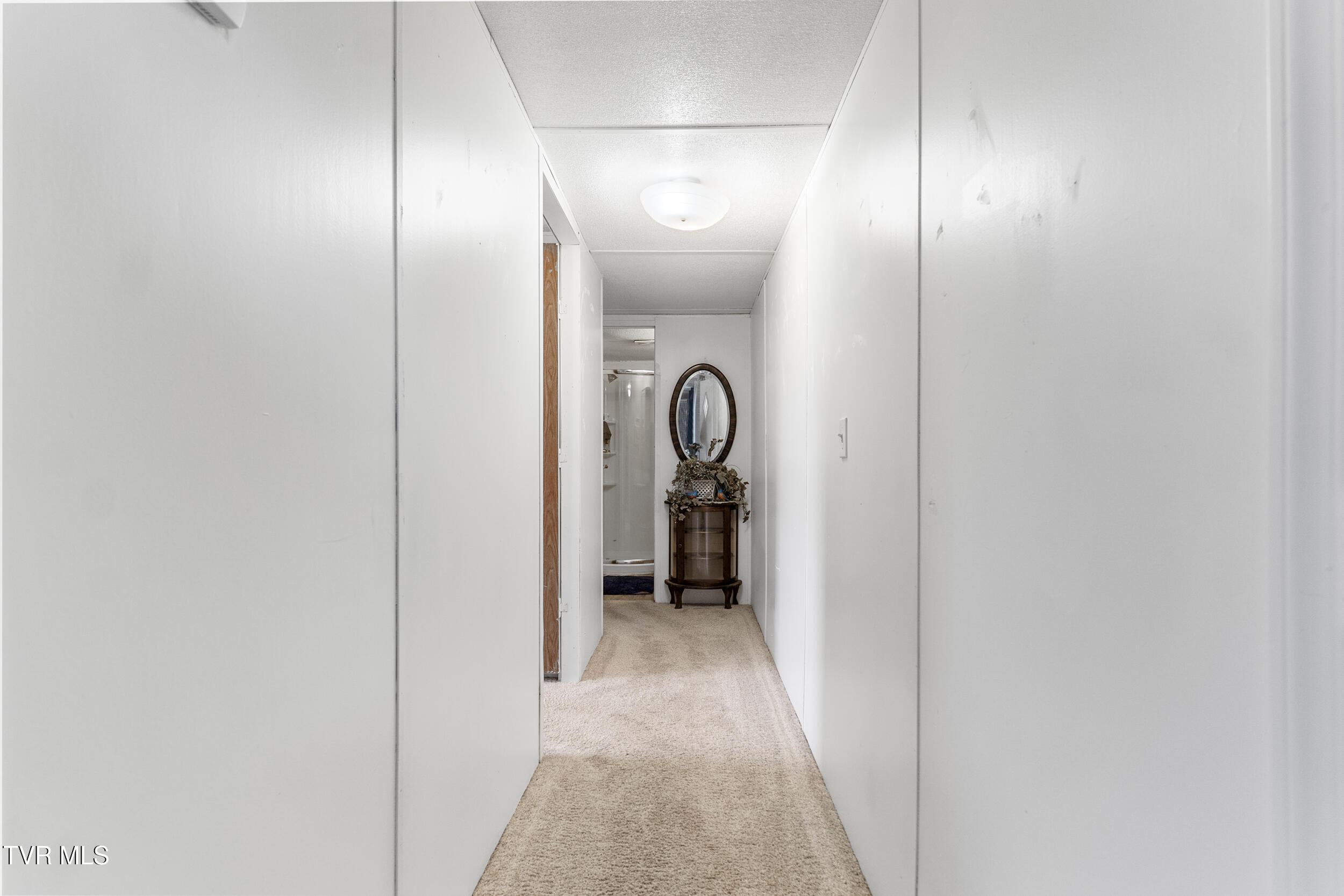 214 Telford New Victory Rd Rd, Telford, Tennessee image 13
