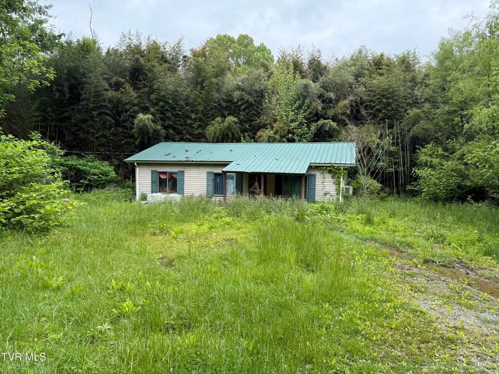 Photo of 721 Taggart Avenue, Big Stone Gap, VA 24219 (MLS # 9995125)