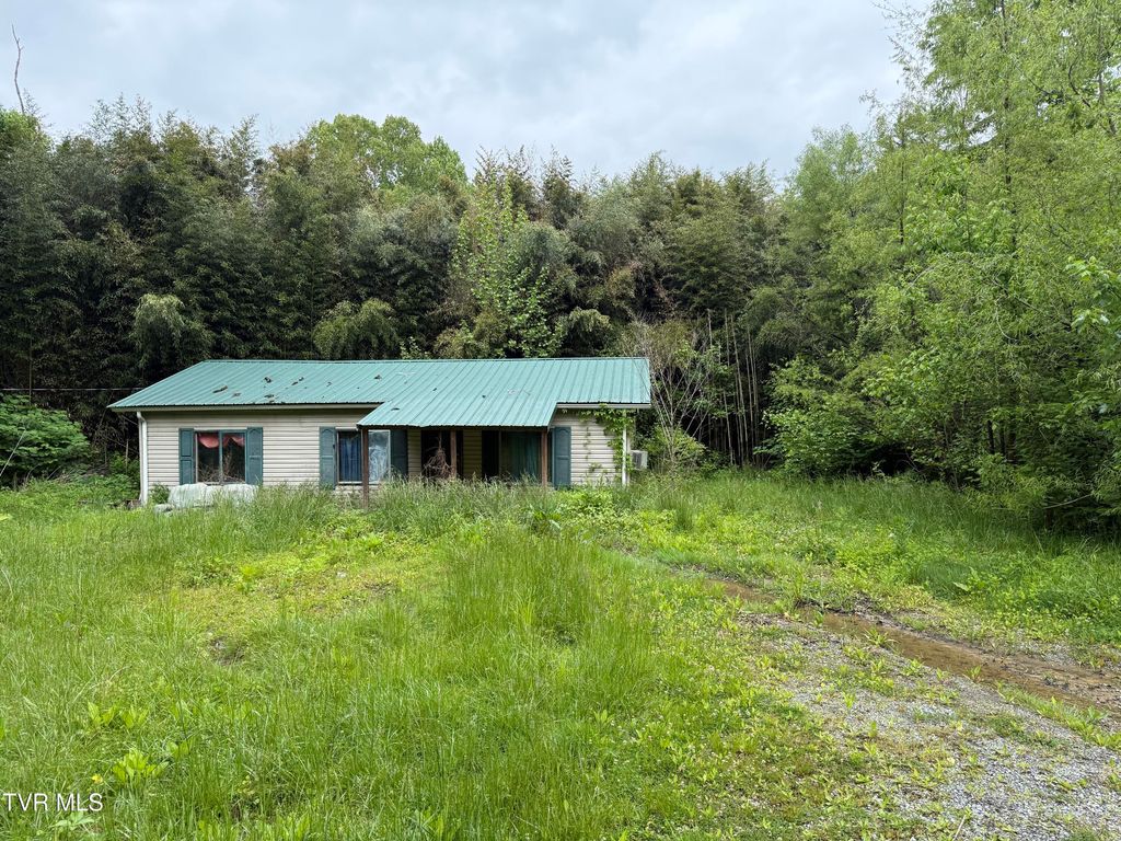 Photo of 721 Taggart Avenue, Big Stone Gap, VA 24219 (MLS # 9995125)