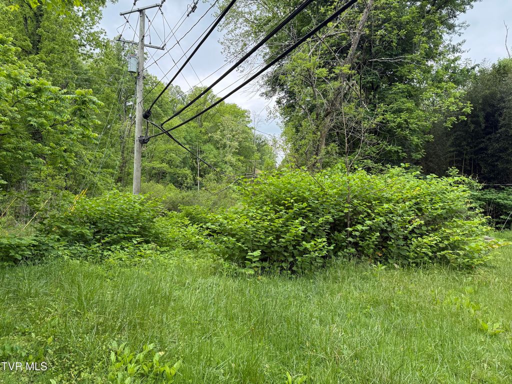 Photo of 721 Taggart Avenue, Big Stone Gap, VA 24219 (MLS # 9995125)
