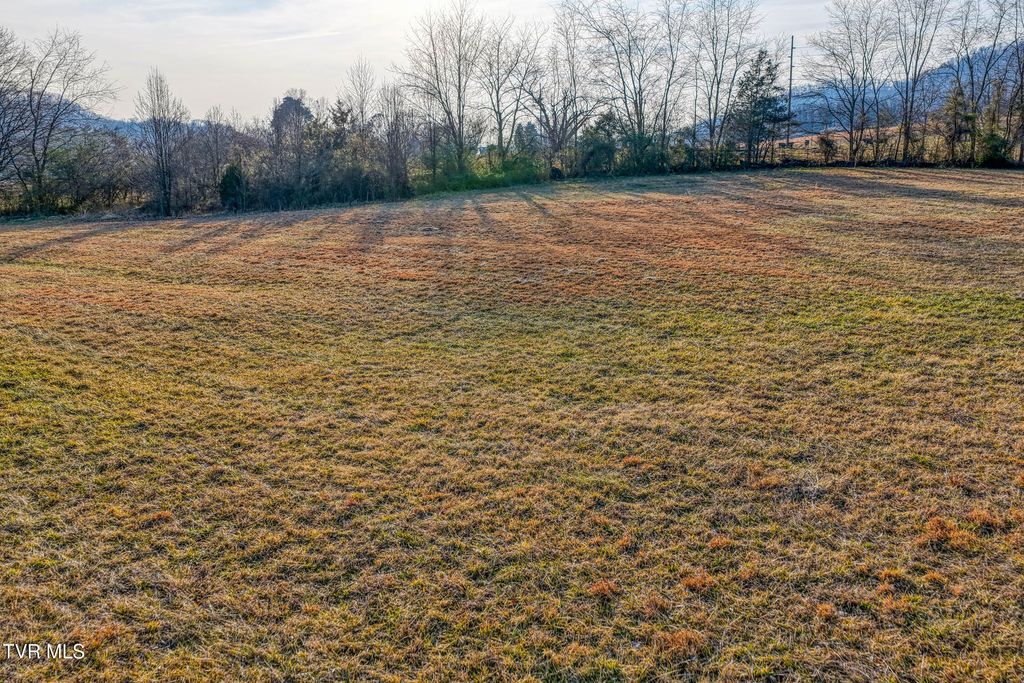 Photo of Tbd Garland Drive, Rogersville, TN 37857 (MLS # 9991132)