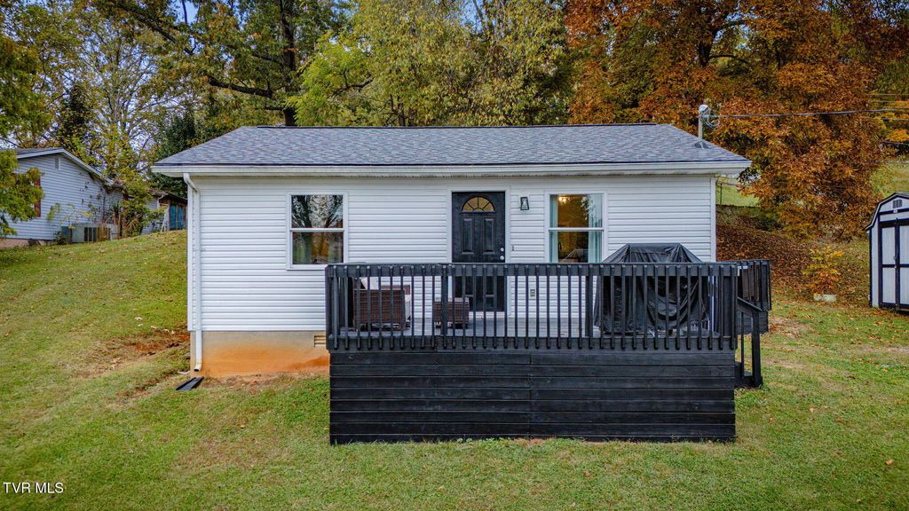 Photo of 447 Pine Street, Mount Carmel, TN 37645 (MLS # 9987744)