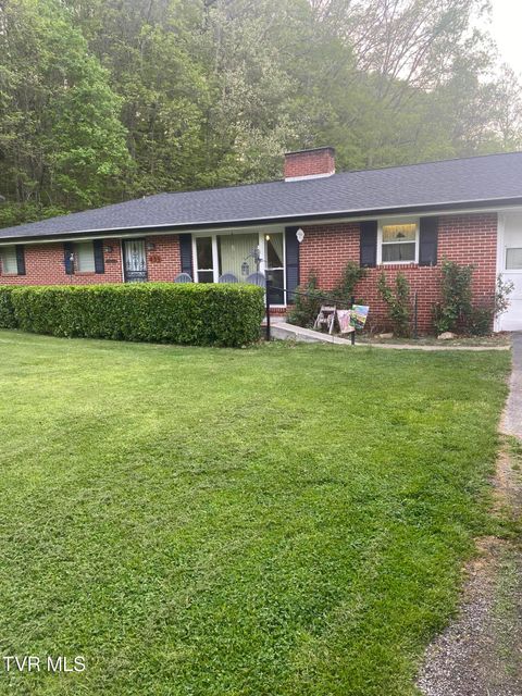 Photo of 435 Horton Highway, Fall Branch, TN 37656 (MLS # 9994815)