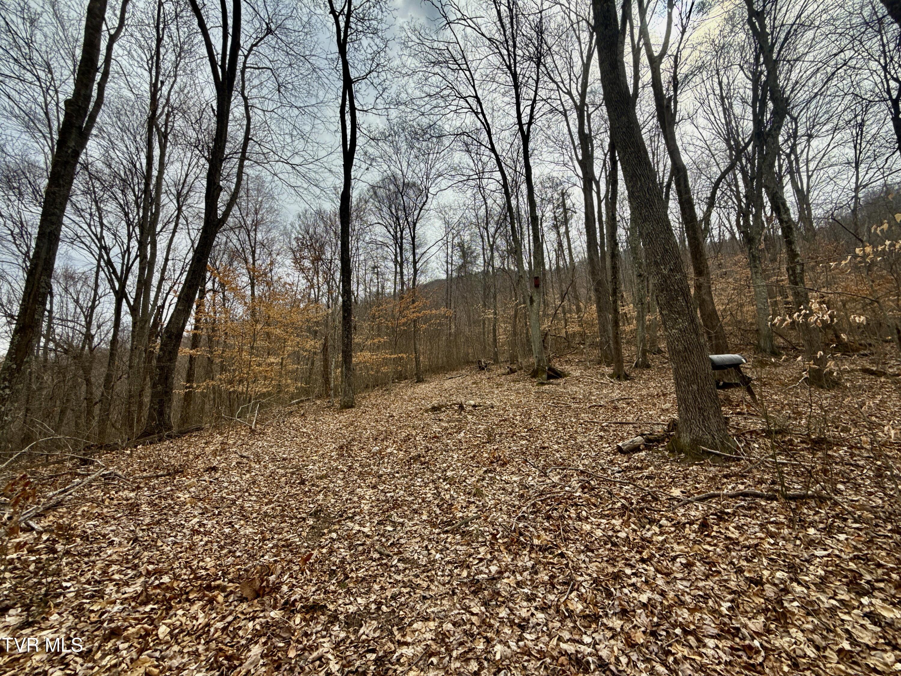 605 Devils Nose Road #2, Rogersville, Tennessee image 43