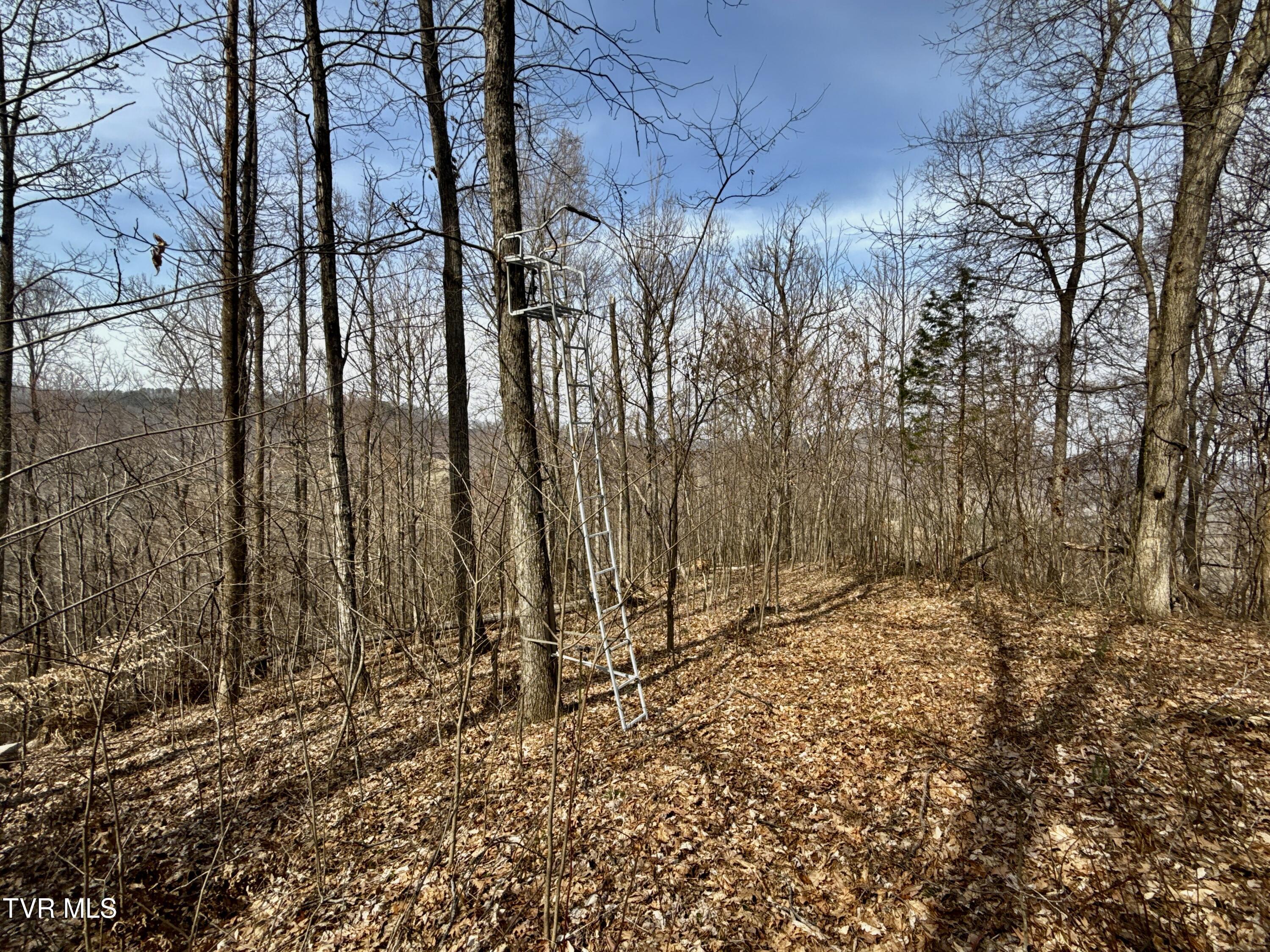 605 Devils Nose Road #2, Rogersville, Tennessee image 46