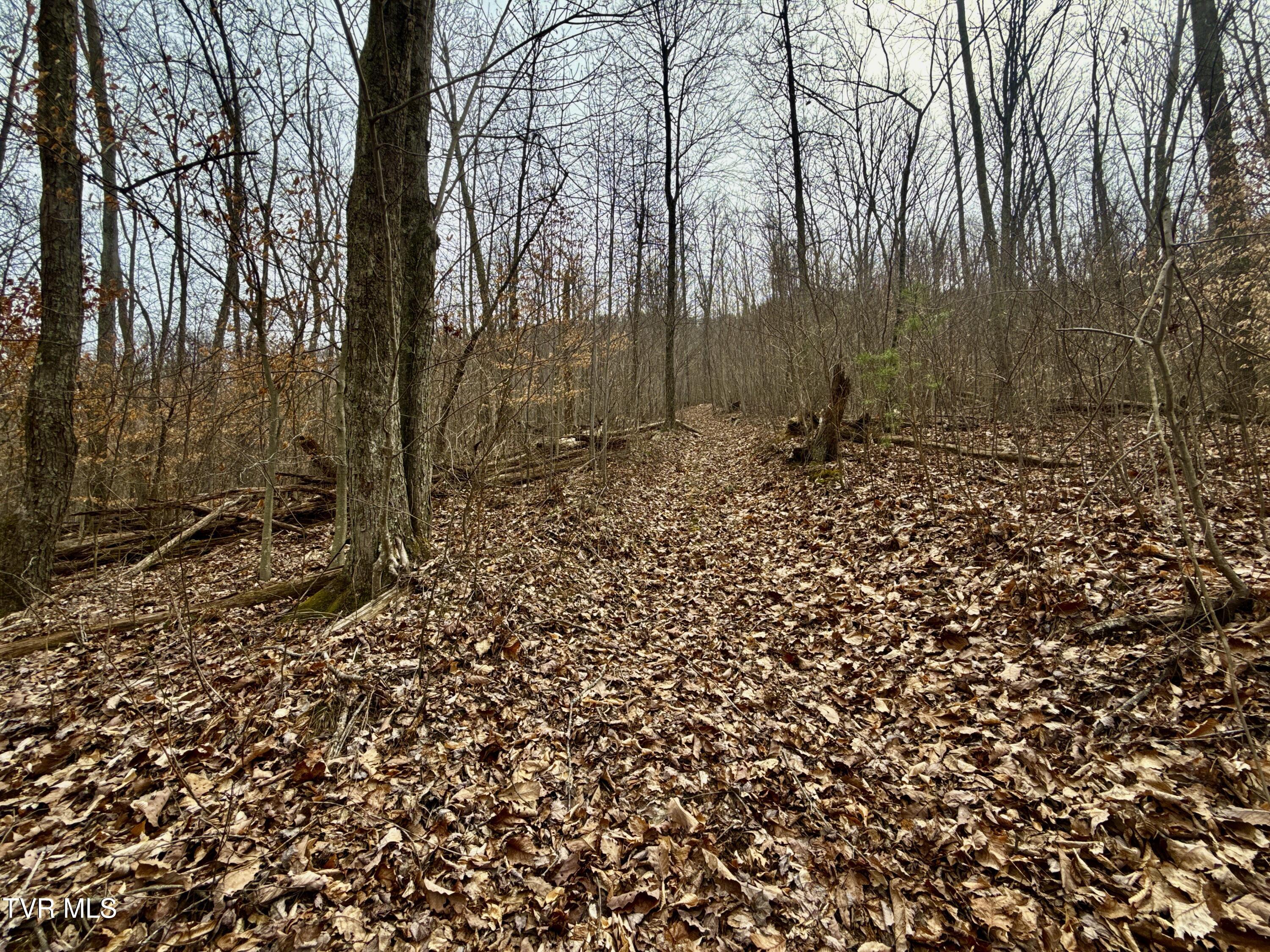 605 Devils Nose Road #2, Rogersville, Tennessee image 45