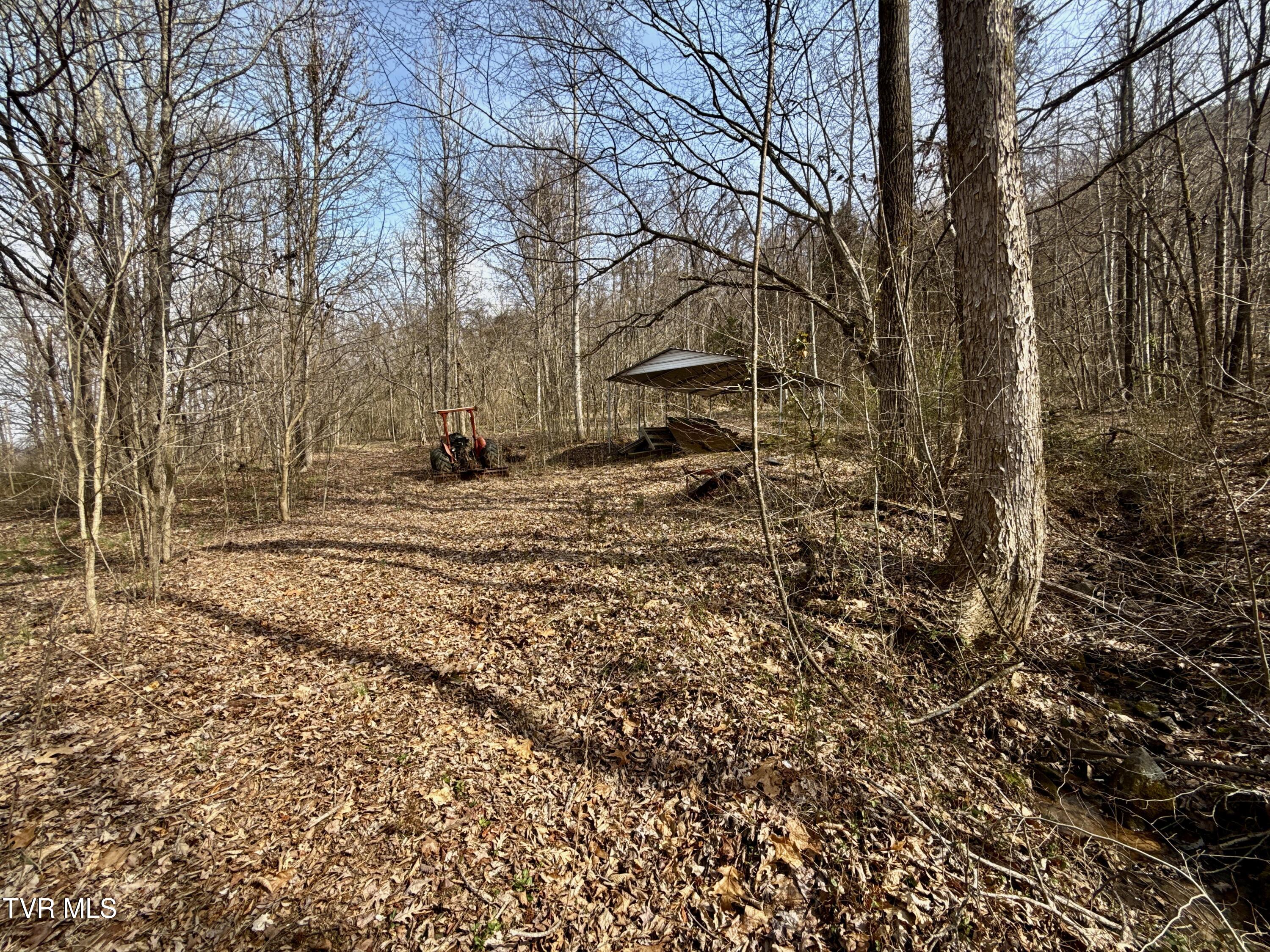 605 Devils Nose Road #2, Rogersville, Tennessee image 36
