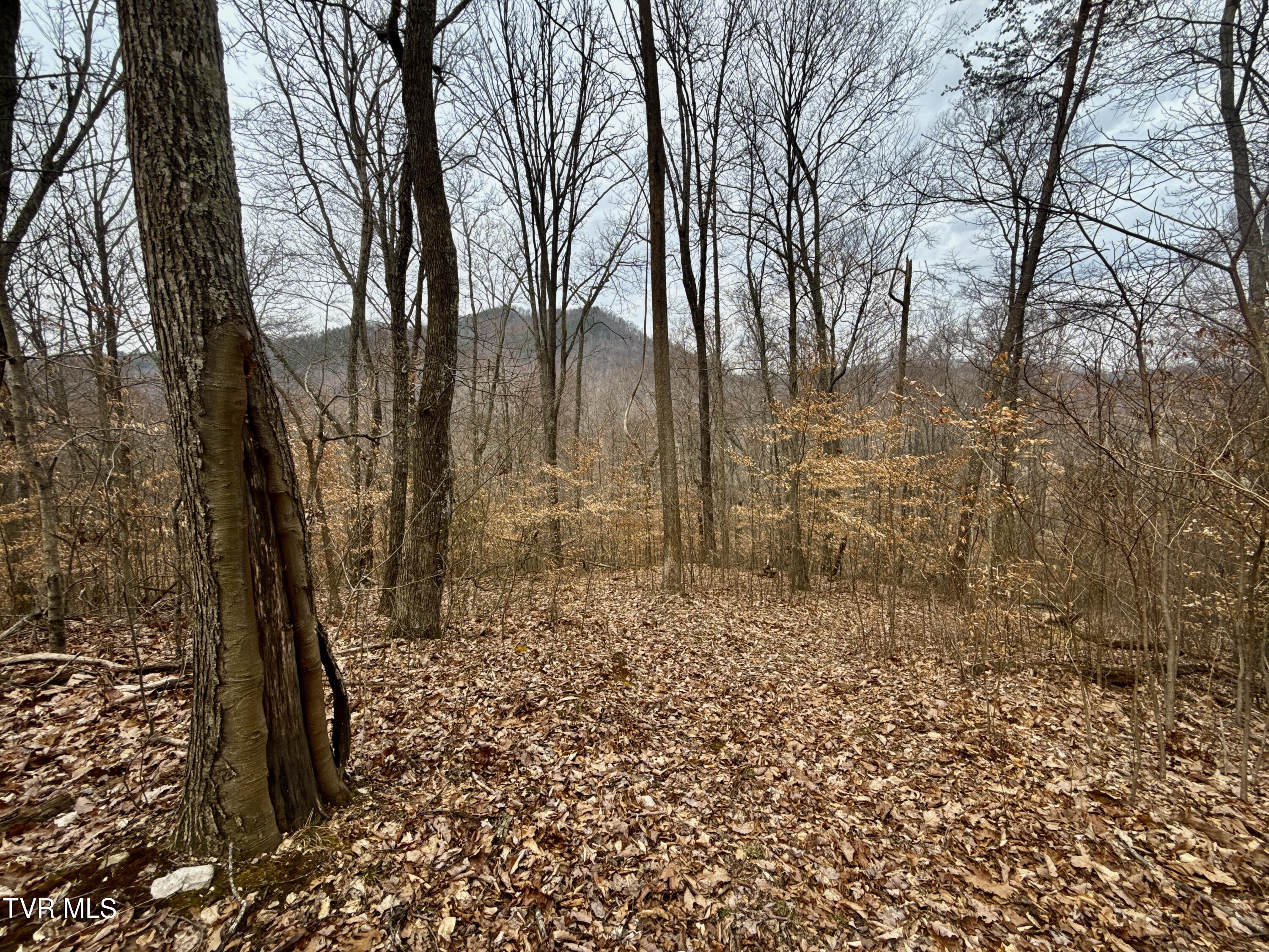 605 Devils Nose Road #2, Rogersville, Tennessee image 44