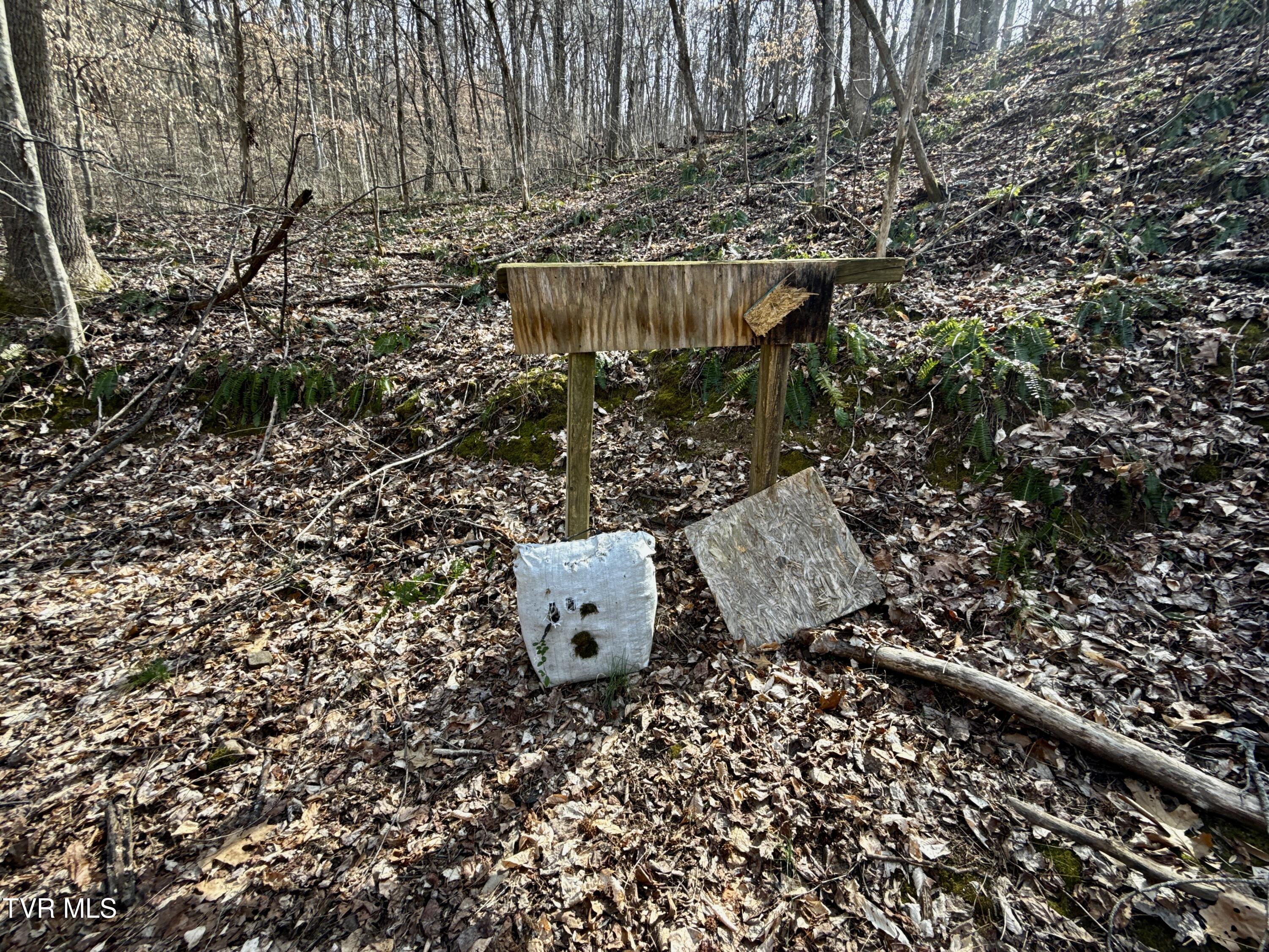 605 Devils Nose Road #2, Rogersville, Tennessee image 35