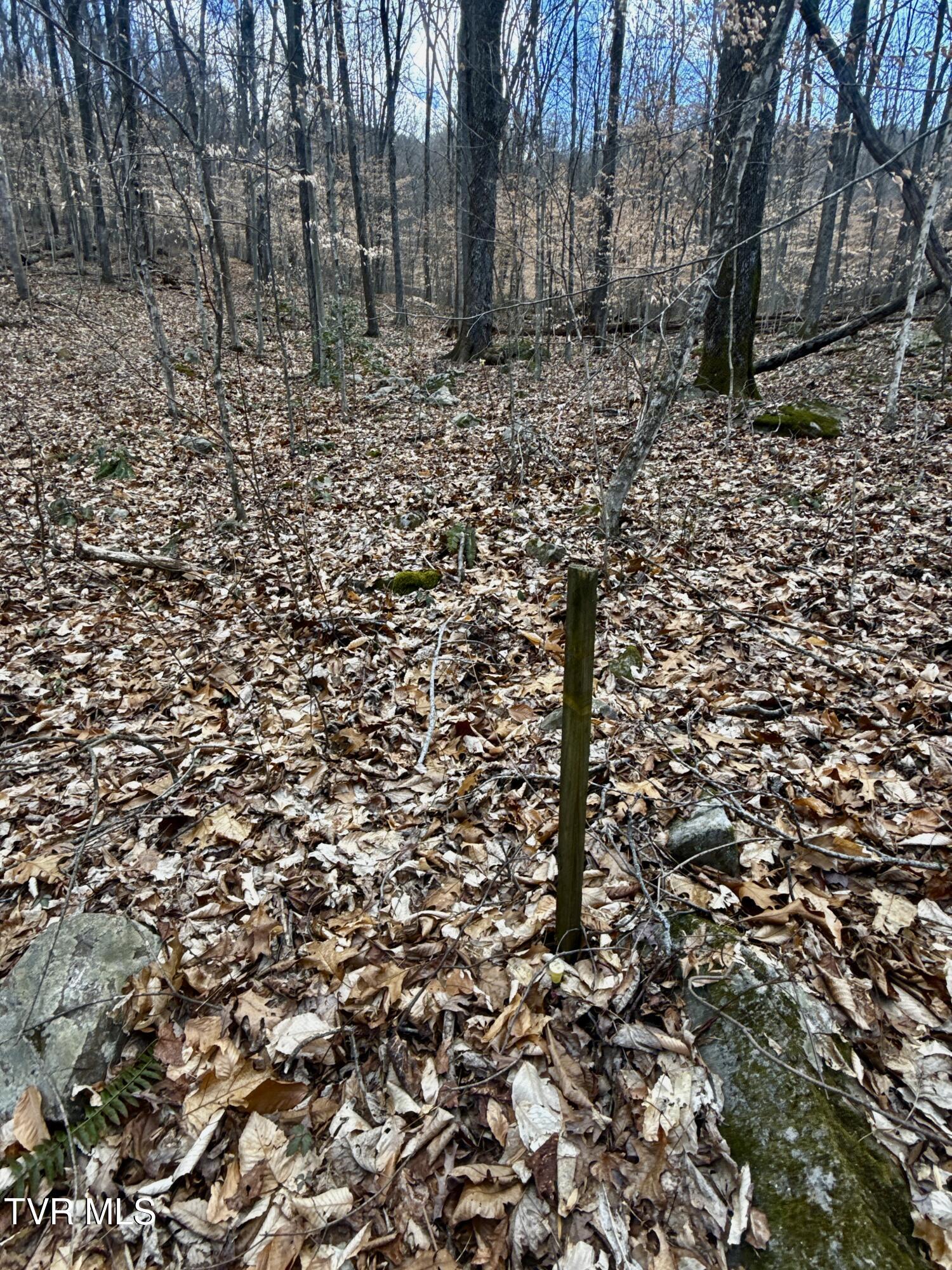605 Devils Nose Road #2, Rogersville, Tennessee image 48