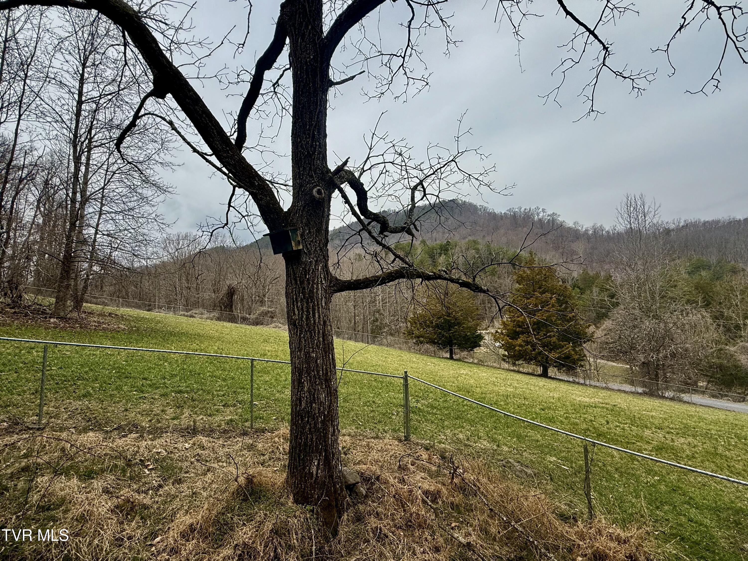 605 Devils Nose Road #2, Rogersville, Tennessee image 8