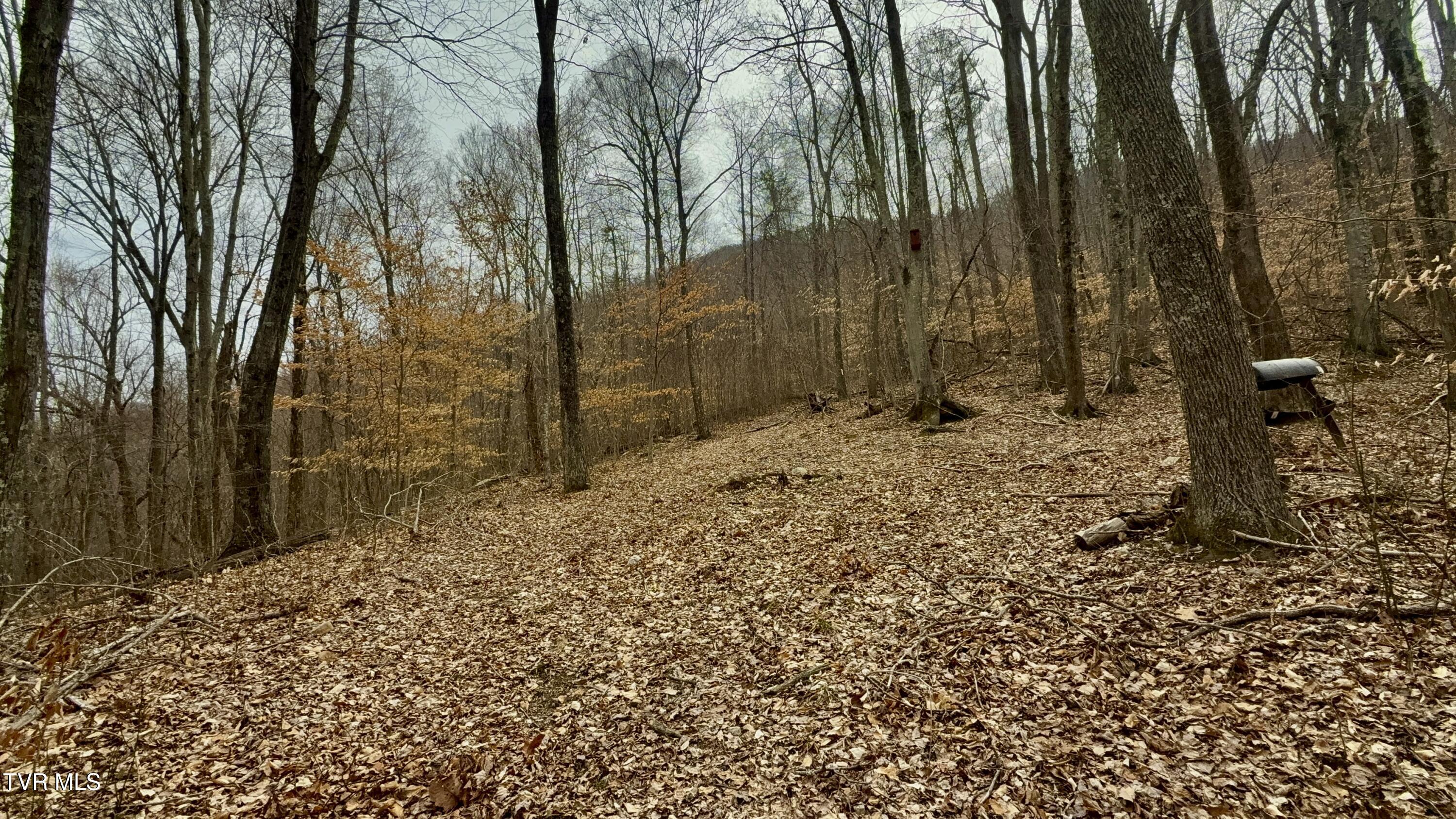 605 Devils Nose Road #2, Rogersville, Tennessee image 47