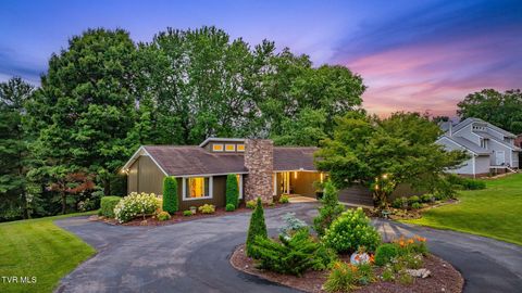 Photo of 497 Canterbury Drive, Blountville, TN 37617 (MLS # 9997633)