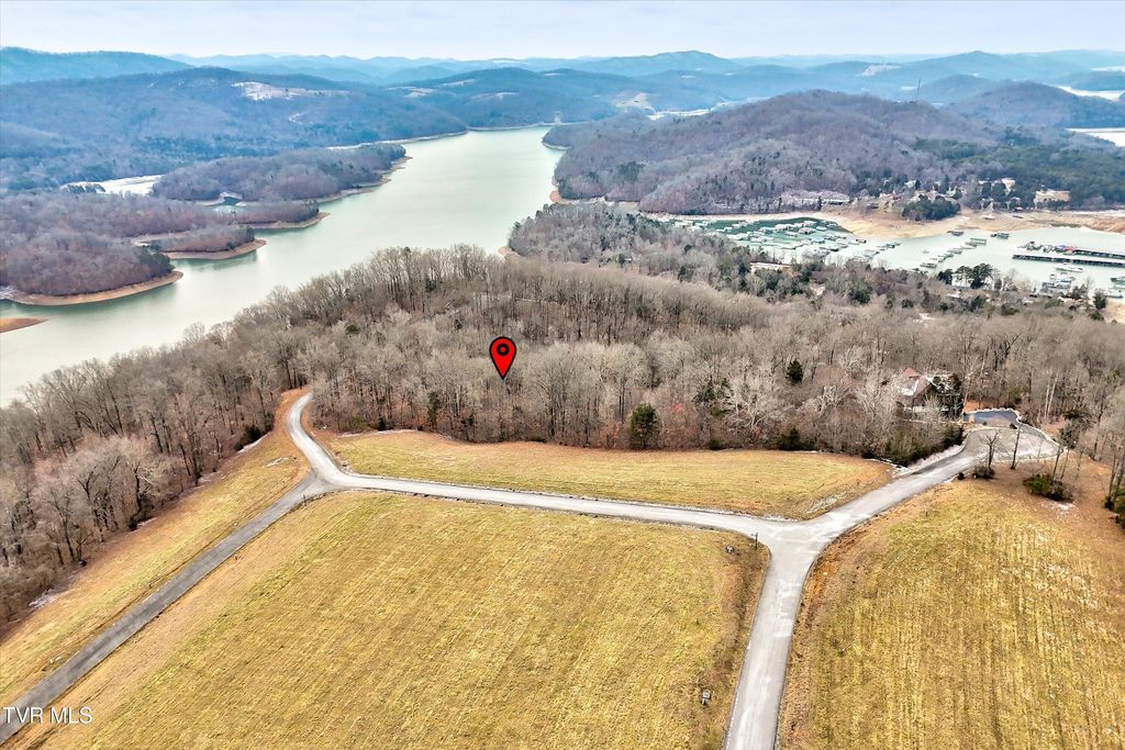 Photo of 306 Sapphire Court, New Tazewell, TN 37825 (MLS # 9990827)