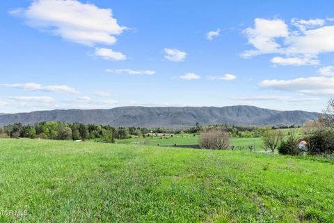 Vacant Land For Sale - TRACT 3 Red Hill Road<br/> Greeneville, TN 37743