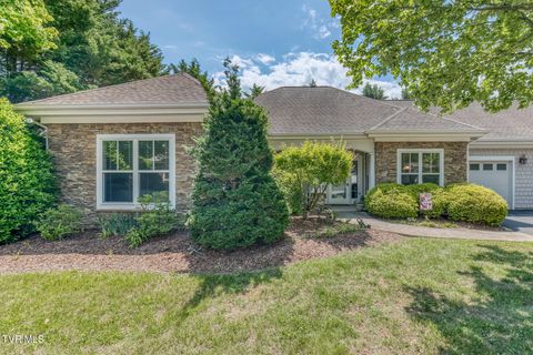 Photo of 211 University Parkway #15, Johnson City, TN 37604 (MLS # 9995401)