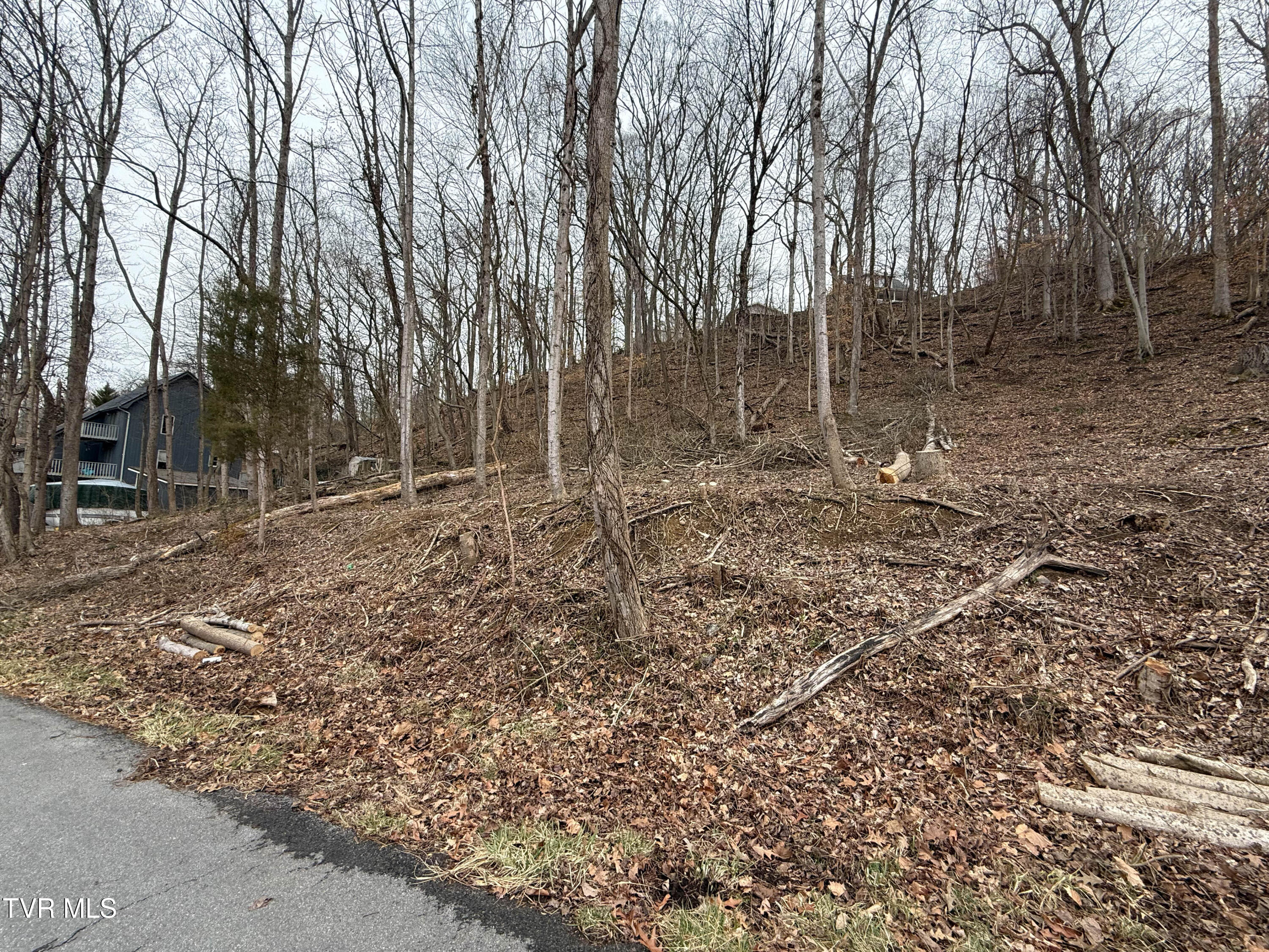 Tbd Kings Bay Drive, Kingsport, Tennessee image 5