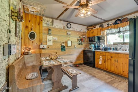 Tiny photo for 205 Helton Hollow Road, Eidson, TN 37731 (MLS # 9986342)