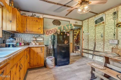 Tiny photo for 205 Helton Hollow Road, Eidson, TN 37731 (MLS # 9986342)