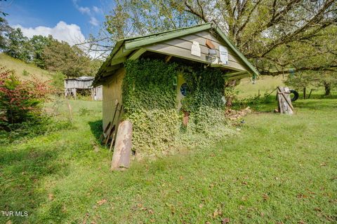 Tiny photo for 205 Helton Hollow Road, Eidson, TN 37731 (MLS # 9986342)