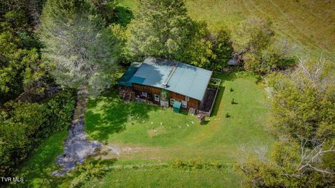 Tiny photo for 205 Helton Hollow Road, Eidson, TN 37731 (MLS # 9986342)
