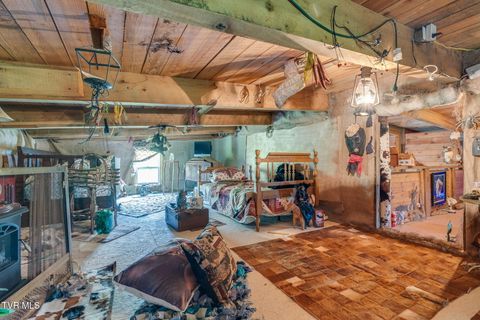 Tiny photo for 205 Helton Hollow Road, Eidson, TN 37731 (MLS # 9986342)