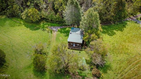 Tiny photo for 205 Helton Hollow Road, Eidson, TN 37731 (MLS # 9986342)