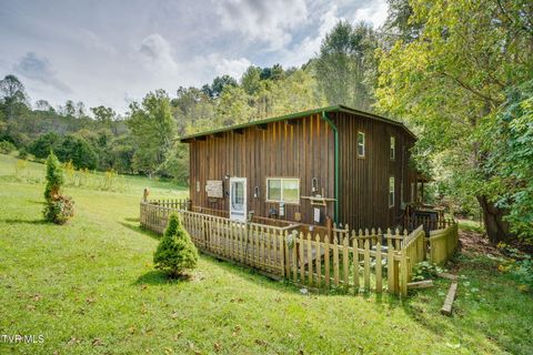 Tiny photo for 205 Helton Hollow Road, Eidson, TN 37731 (MLS # 9986342)