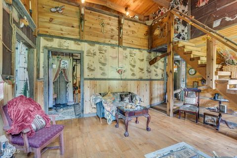 Tiny photo for 205 Helton Hollow Road, Eidson, TN 37731 (MLS # 9986342)