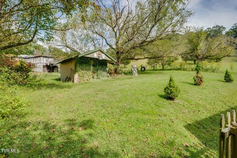 Tiny photo for 205 Helton Hollow Road, Eidson, TN 37731 (MLS # 9986342)