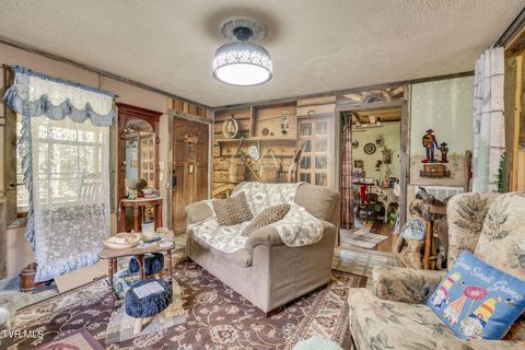 Tiny photo for 205 Helton Hollow Road, Eidson, TN 37731 (MLS # 9986342)