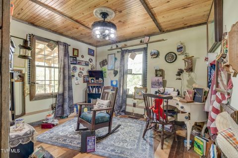 Tiny photo for 205 Helton Hollow Road, Eidson, TN 37731 (MLS # 9986342)