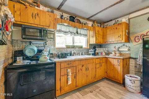 Tiny photo for 205 Helton Hollow Road, Eidson, TN 37731 (MLS # 9986342)