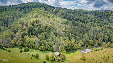 Tiny photo for 205 Helton Hollow Road, Eidson, TN 37731 (MLS # 9986342)