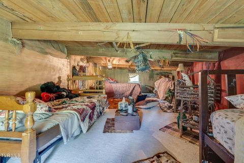 Tiny photo for 205 Helton Hollow Road, Eidson, TN 37731 (MLS # 9986342)