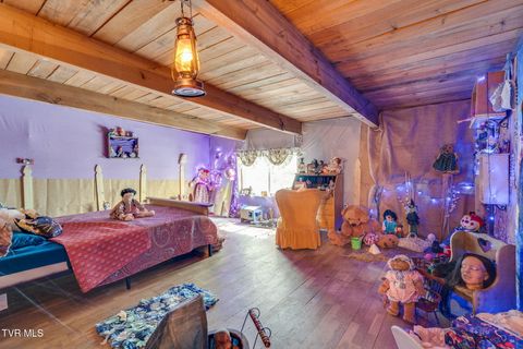 Tiny photo for 205 Helton Hollow Road, Eidson, TN 37731 (MLS # 9986342)